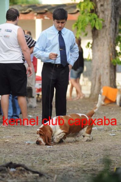 Clique sobre a foto para fechar